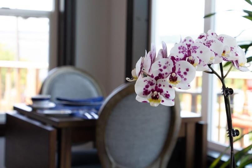 Anchorage Inn B&B 쿠프빌 외부 사진